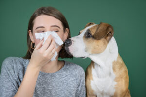 Late Summer Allergies Natural Healing Tips for You and Your Pets